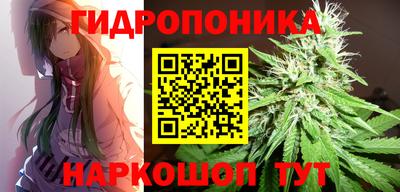 Альфа ПВП Камышлов