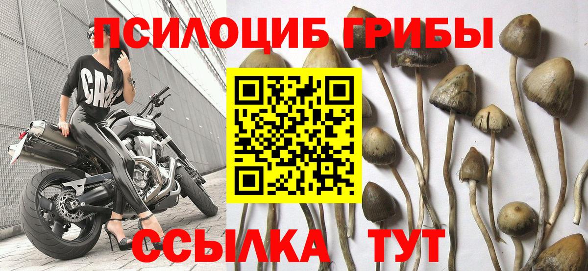 Семёнов  Псилоцибиновые грибы ЛСД  Вход с VPN 