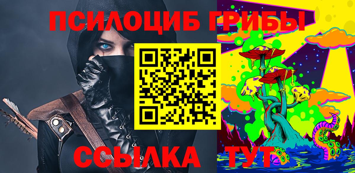 Галлюциногенные грибы Psilocybe Семёнов